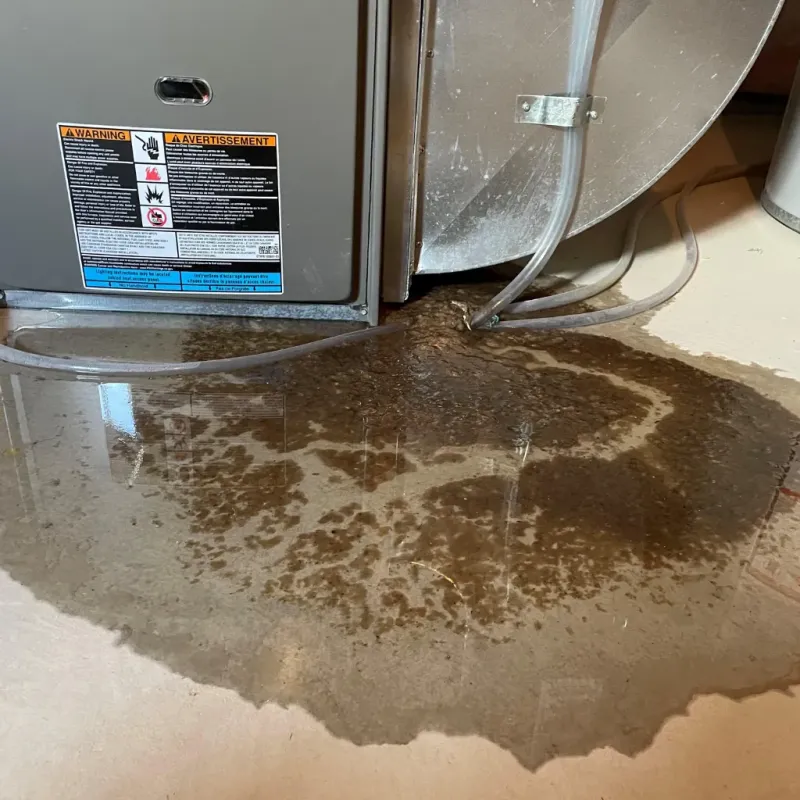 Appliance Leak Cleanup in Whitney, NV